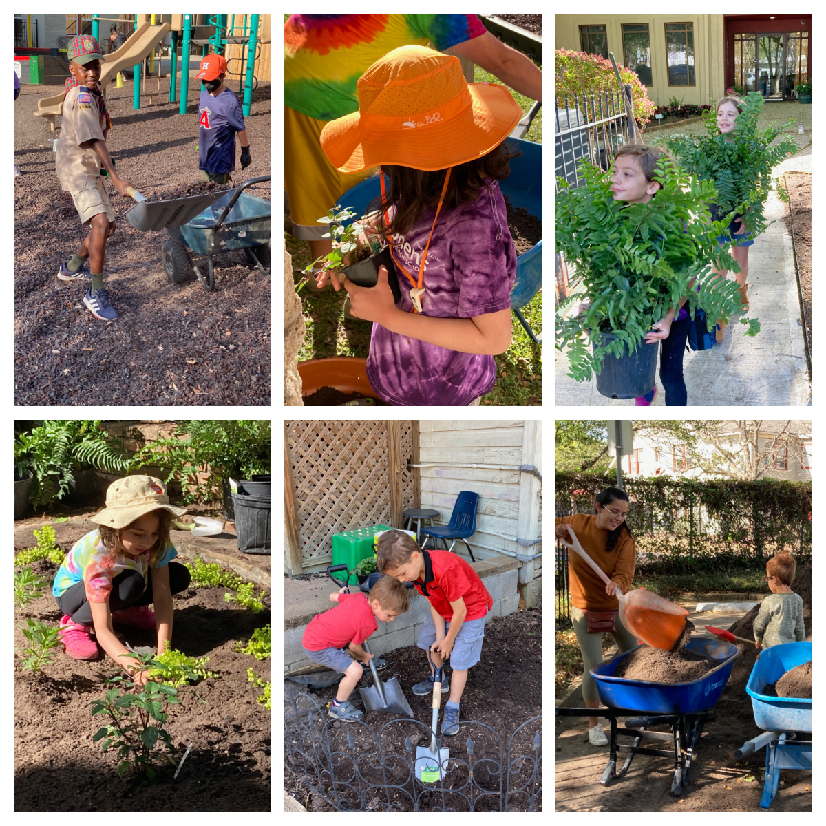 PTO and volunteers beautified the School's campus