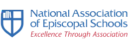 NAOES Logo